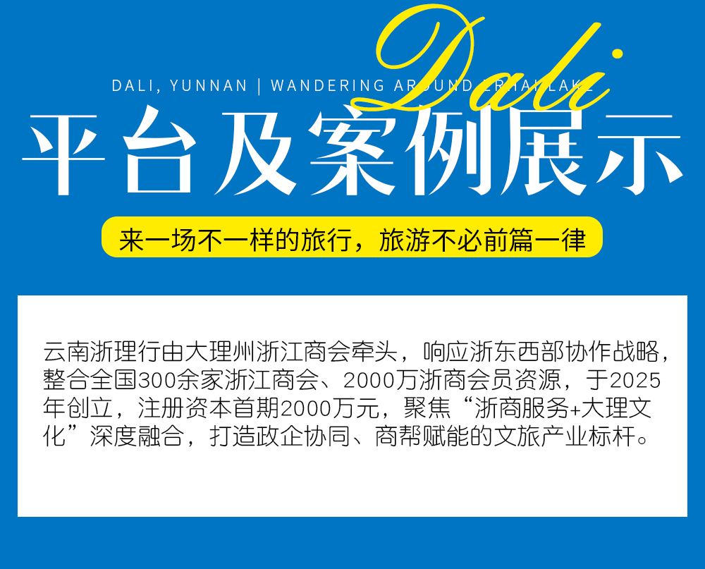 平台案例展示11