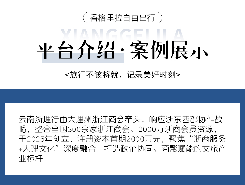 平台介绍案例展示10